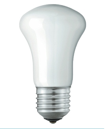 Лампа накаливания криптоновая - Philips Kryp 40W E27 230V E50 WH 1CT/12X10F 871150002154084 фото