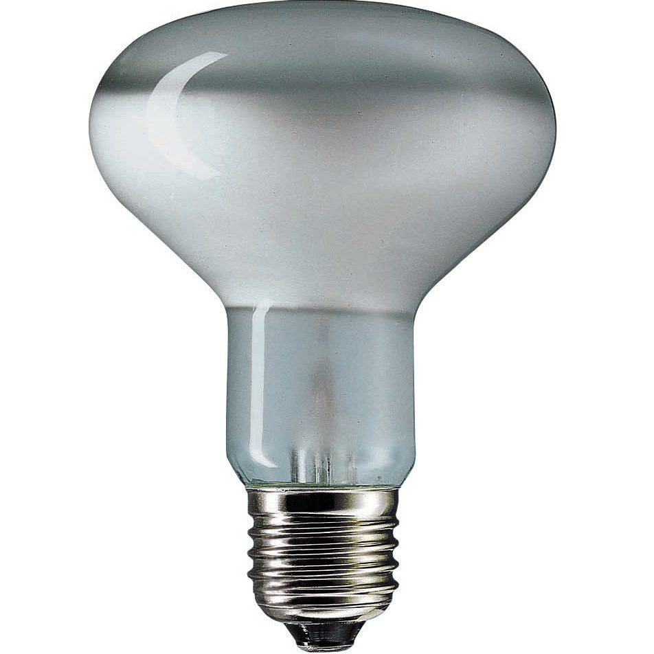 Лампа накаливания рефлекторная - Philips Reflector E80 матовая 230V 60W 270cd 80° - 923226544284 фото