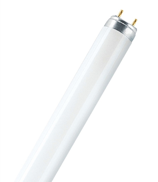 Лампа люминесцентная T8 - OSRAM L 70W/840 LUMILUX SKYWHITE 25X1 LF - 4008321003959 фото