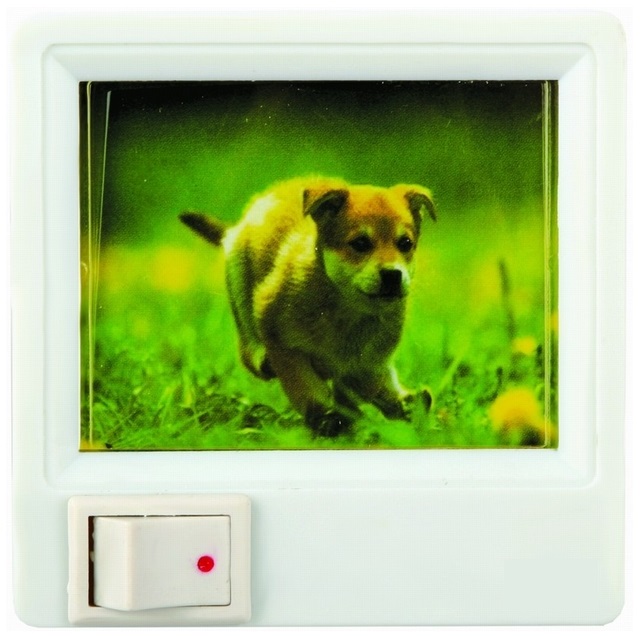 Ночник с картинкой - Camelion XYD-403 - р007 1W 220V - Camelion-7049 фото