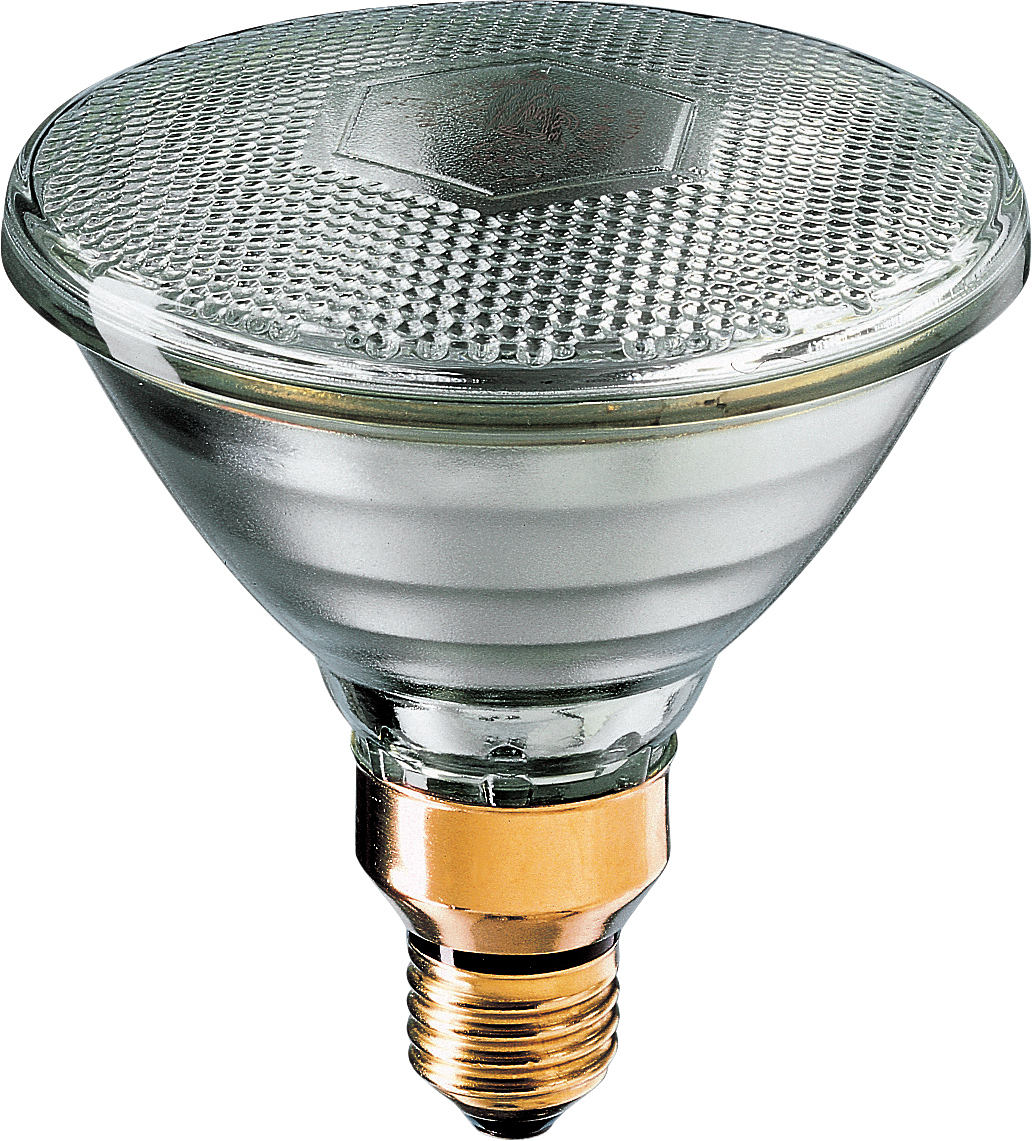 Лампа накаливания зеркальная - Philips PAR38 120W E27 24V SP 10D 1CT/12 871150038073915 (снято с производства) фото