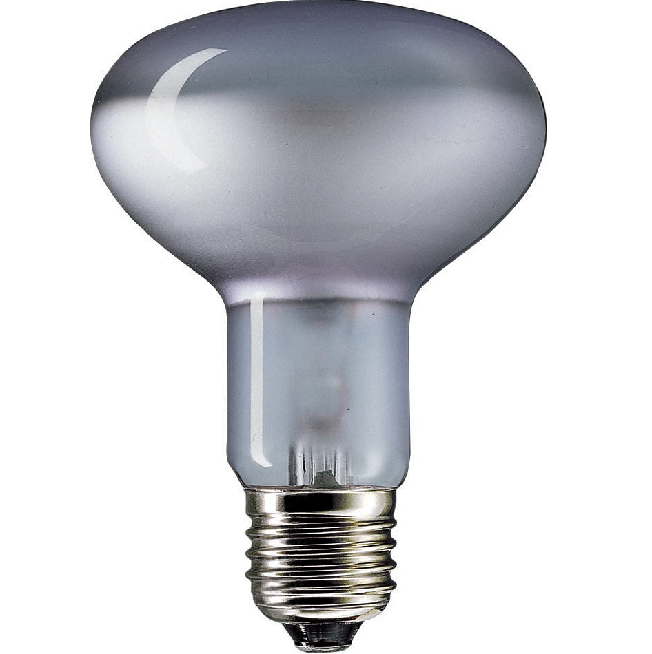 Лампа накаливания рефлекторная - Philips Reflector Neodymium E80 E27 230V 60W - 871150002890778 фото