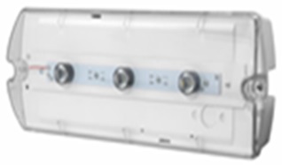 Аварийный светильник Awex HELIOS LED HWD 3x1W IP65 for central battery - HWD3x1CBTR фото
