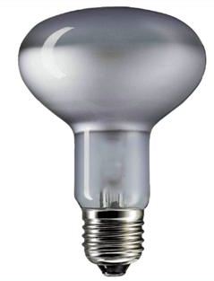 Лампа накаливания зеркальная - Philips Refl 100W E27 230V E80 80D 1CT/30 871150001250078 (снято с производства) фото