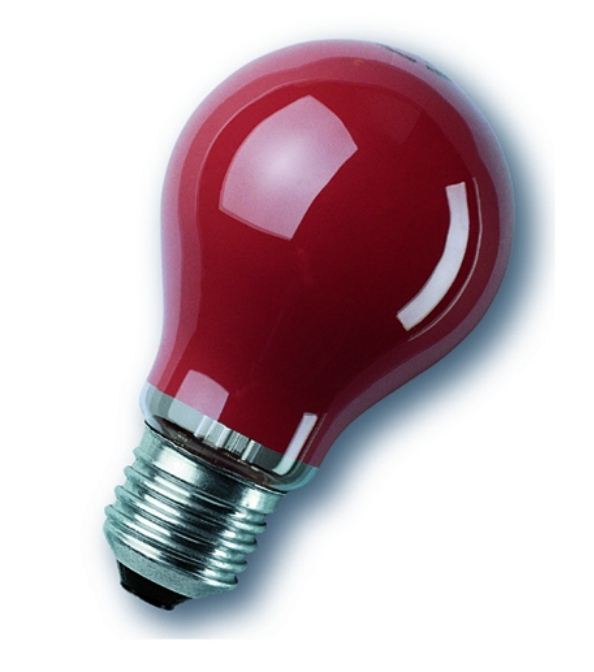 Лампа накаливания цветная - Radium Standardlampen, farbig 11W 230V E27 (red - красная) - 11218796 фото