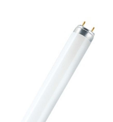 Лампа люминесцентная T8 - OSRAM L 15W/930 25X1 4050300014395 фото