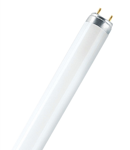 Лампа люминесцентная OSRAM LUMILUX T8 - 38W/840 3300lm G13 4000K - 4050300518138 фото