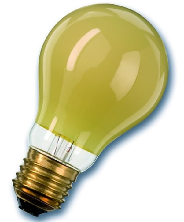 Лампа накаливания цветная - Radium Standardlampen, farbig 11W 230V E27 (yellow - желтая) - 11218646 фото