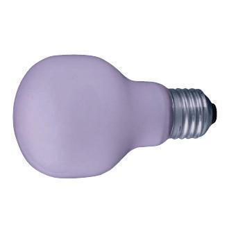 Лампа накаливания стандартная - GE 60A1/SL-ENRICH/E27 91753 фото